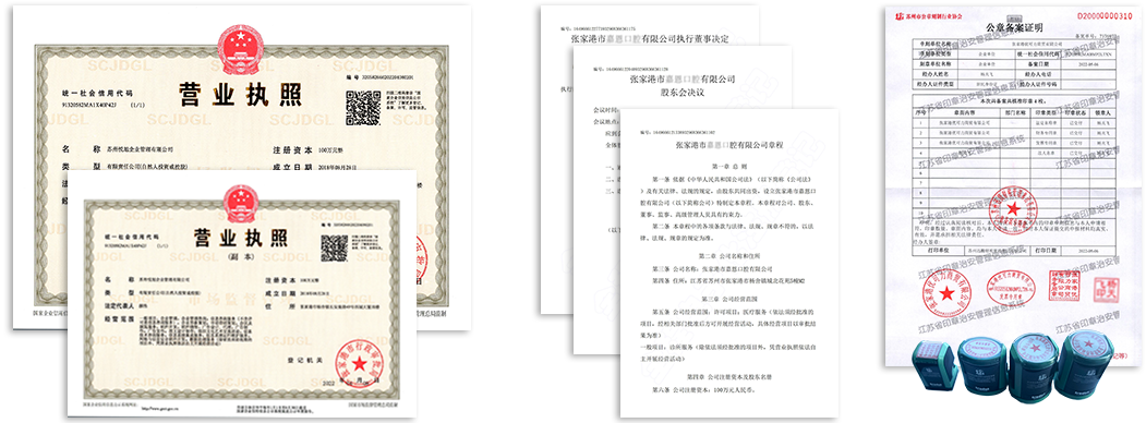 龙文公司注册资料